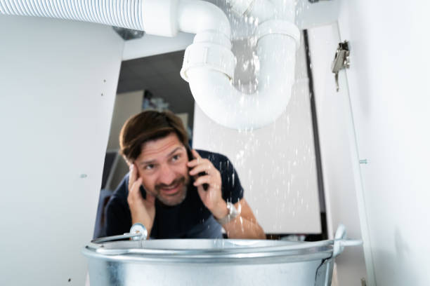 Best Water Softener Installation  in Remlap, AL