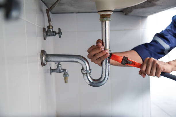 Best Same-Day Plumbing Service  in Remlap, AL